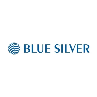 BLUE SILVER GmbH