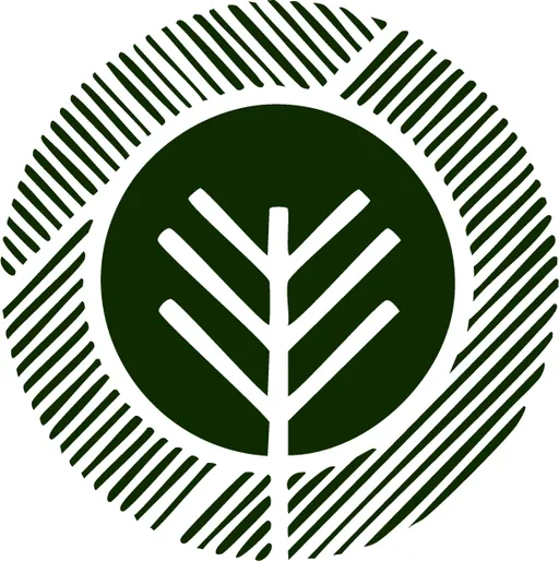 Canopy Creative