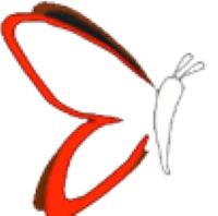 Elegant Infotech