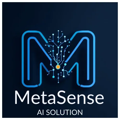 MetaSense Ai Solution (Human&Sense srl)
