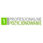 Profesjonalne Pozycjonowanie
