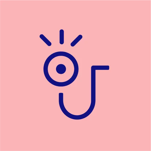 Studio Jules