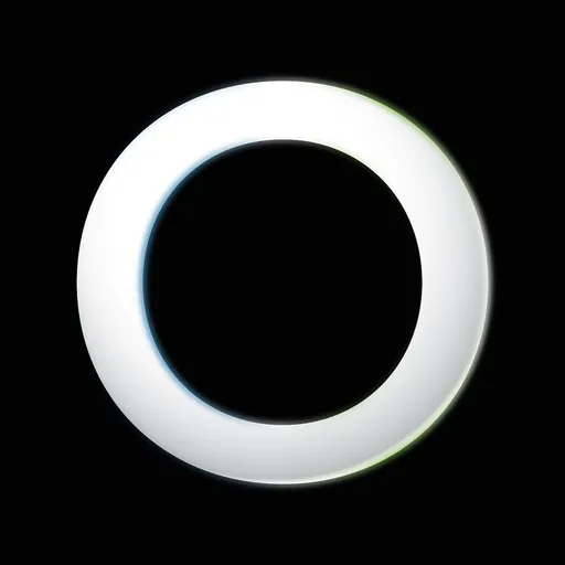 The Obsidian Co.