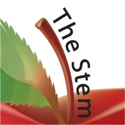 The Stem Group Inc.