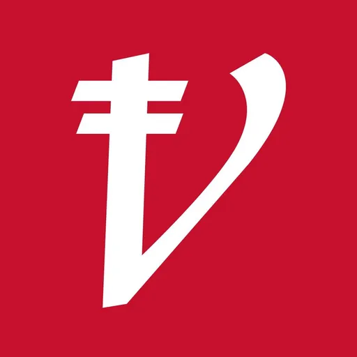 Viganium Software Company