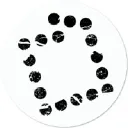 Zoso Online Developers